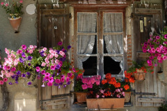 window